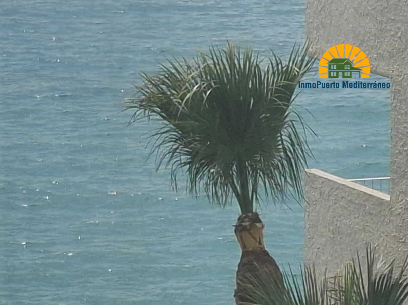 Apto. primera línea acceso directo playa Cap Negret